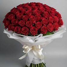 Букет 101 Красная роза Блэк Мэджик в Ямуге