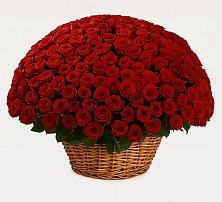 Премиум букет из: Розы в Ямуге